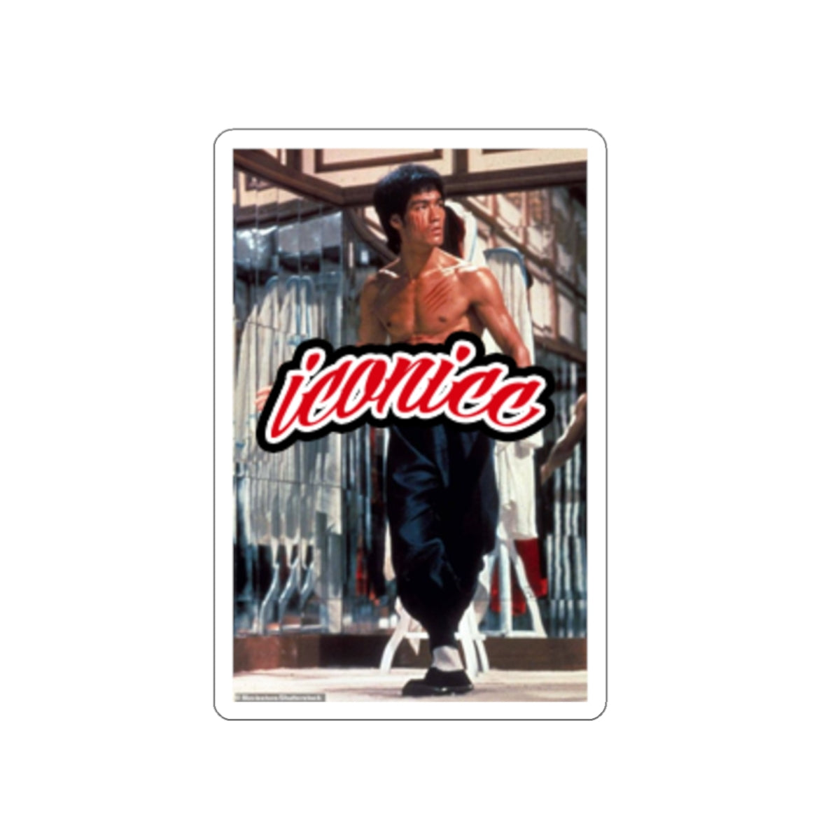 bruce lee sticker